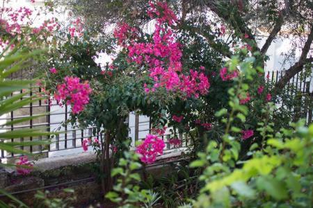 Glyfada Riviera Home Atene Esterno foto