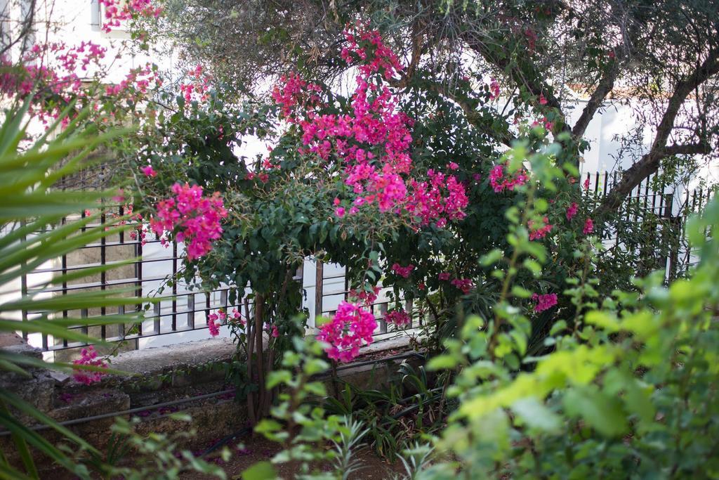 Glyfada Riviera Home Atene Esterno foto